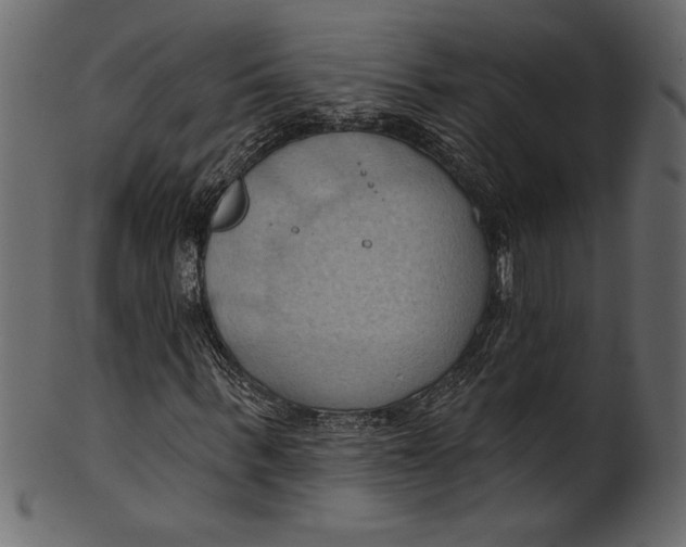 X0000101210963200807181414