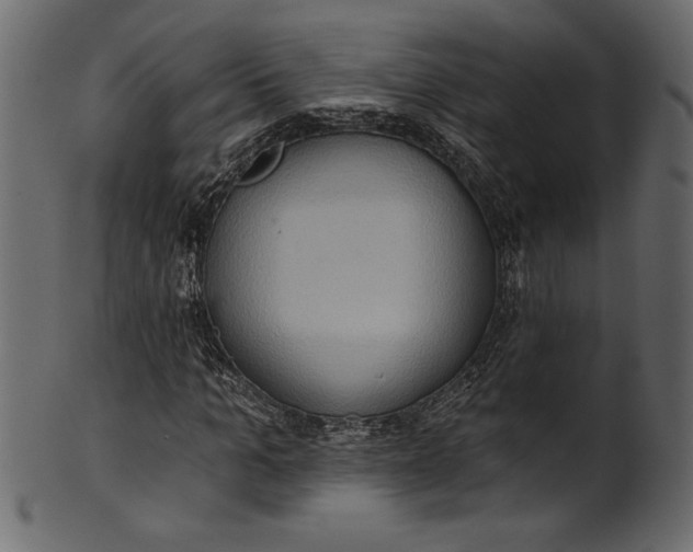 X0000101210965200807181414