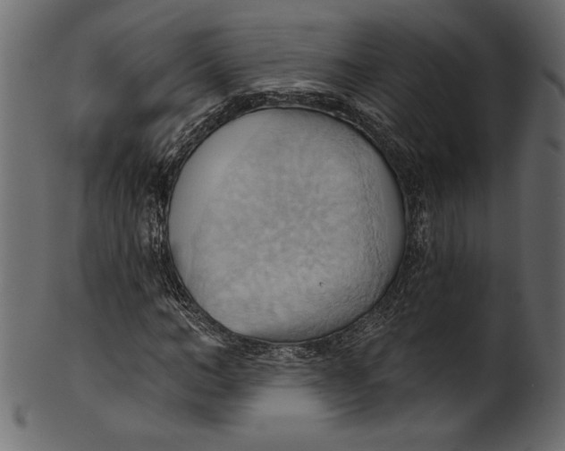 X0000101210966200807181414