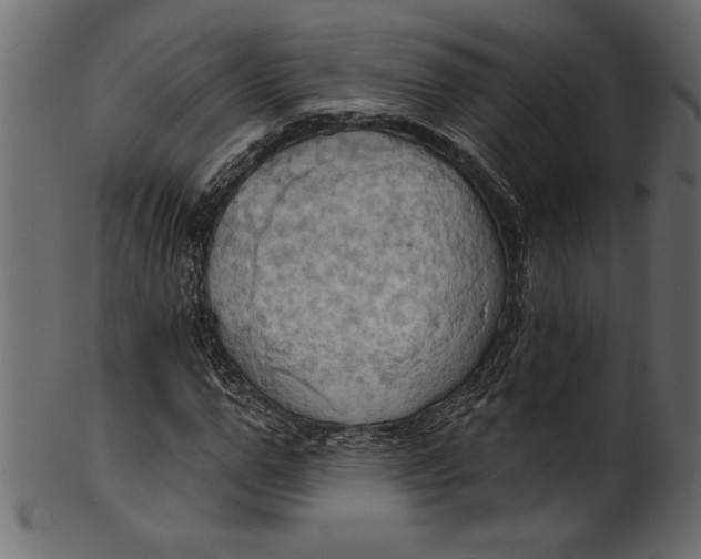 X0000101210967200807181414