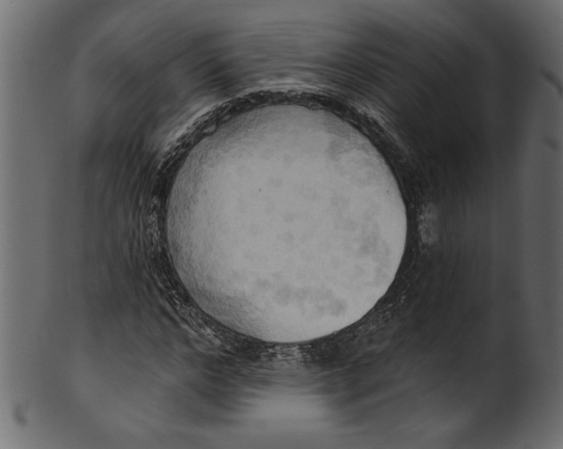 X0000101210968200807181414