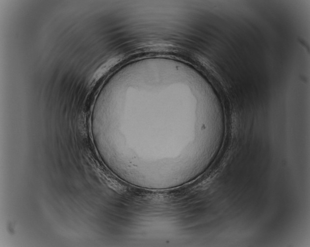 X0000101210970200807181414