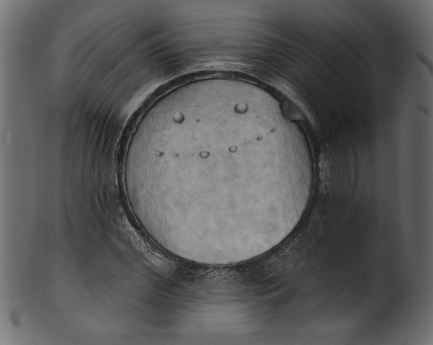 X0000101210972200807181414