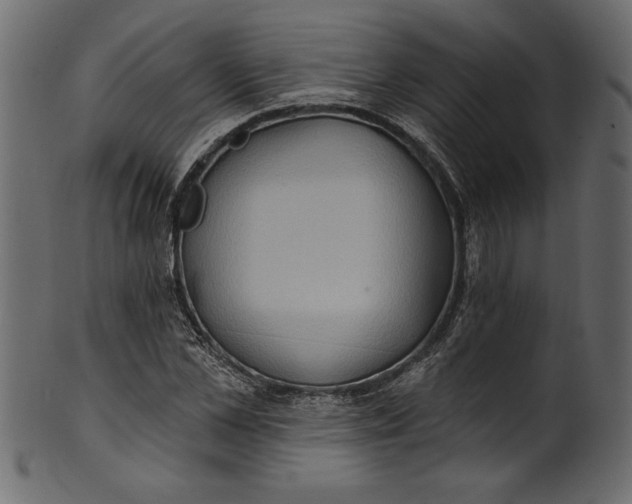 X0000101210973200807181414