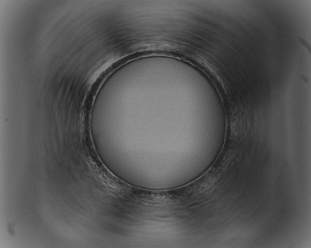 X0000101210975200807181414