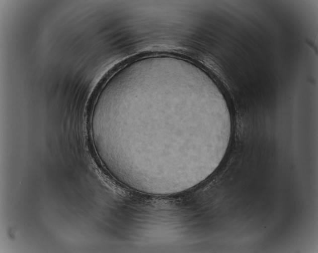 X0000101210976200807181414