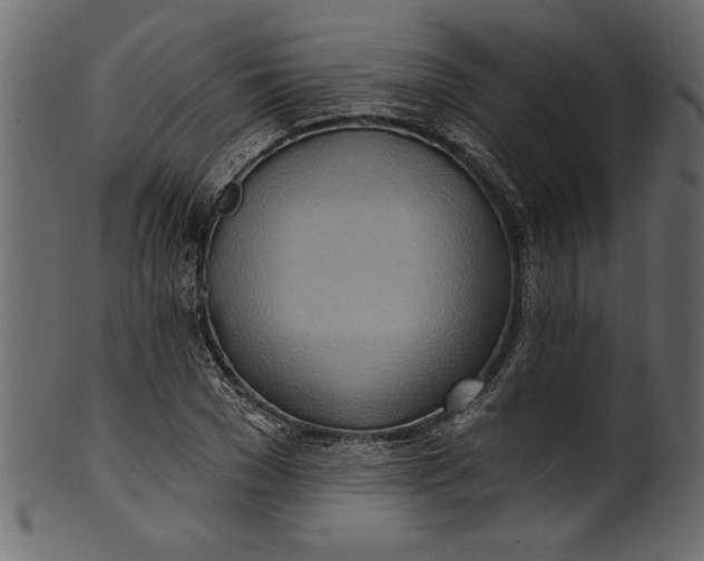 X0000101210977200807181414