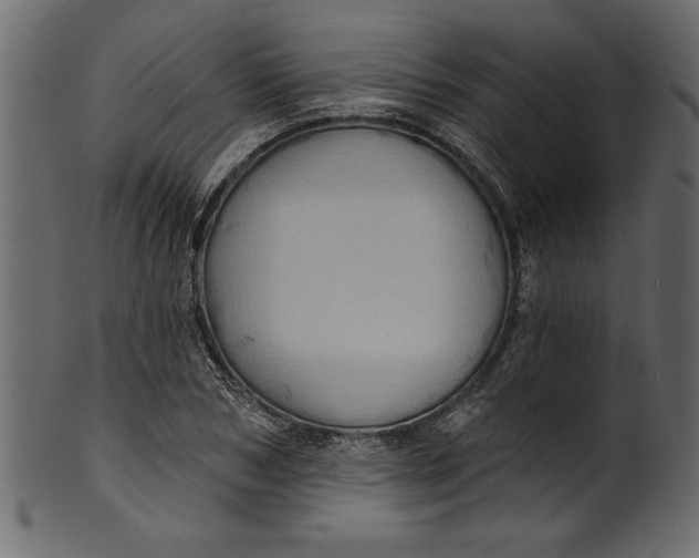 X0000101210978200807181414