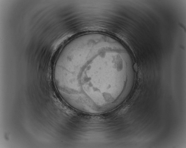 X0000101210979200807181414