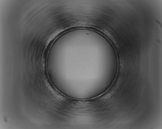 X0000101210981200807181414