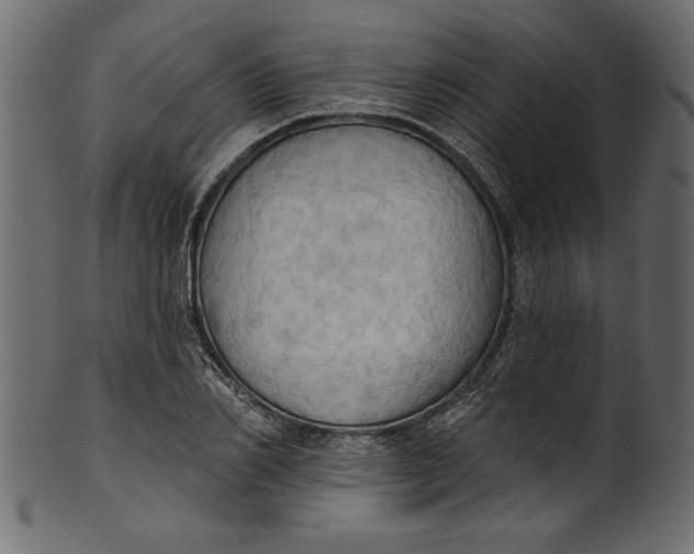 X0000101210982200807181414