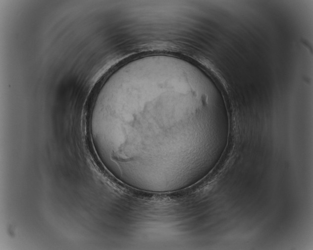 X0000101210983200807181414