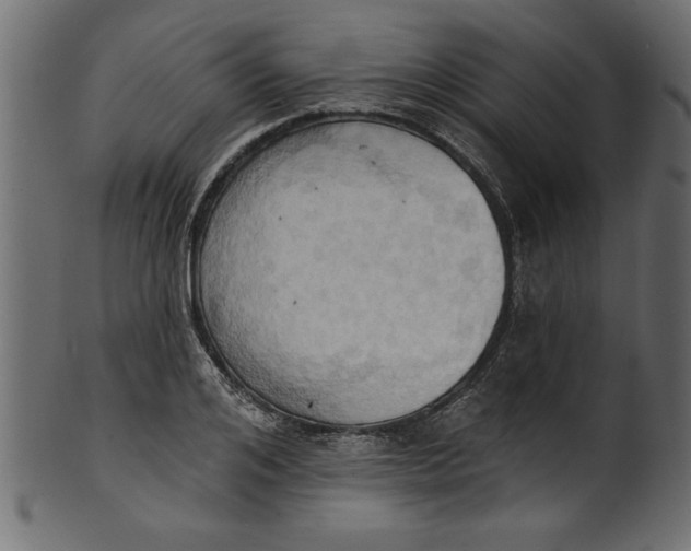 X0000101210984200807181414