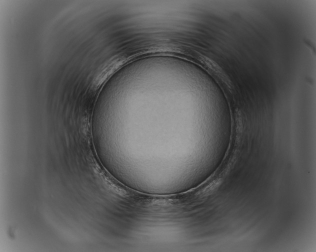 X0000101210985200807181414