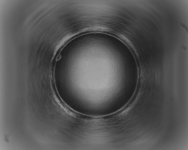 X0000101210989200807181414