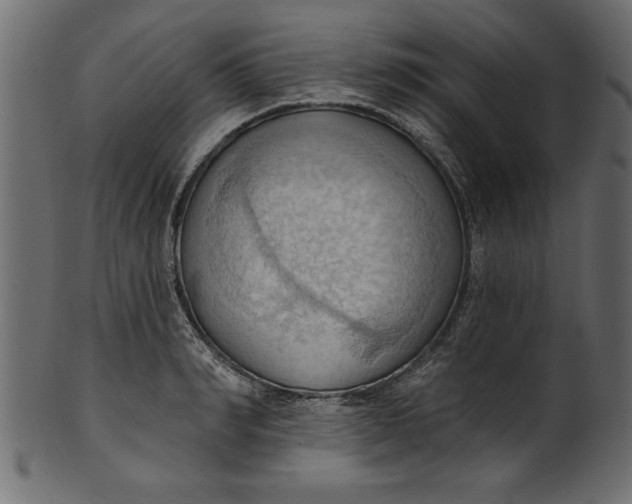 X0000101210990200807181414