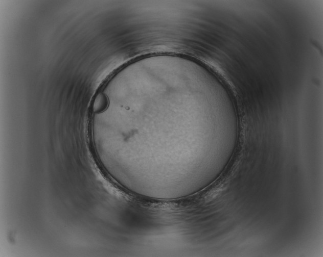 X0000101210991200807181414