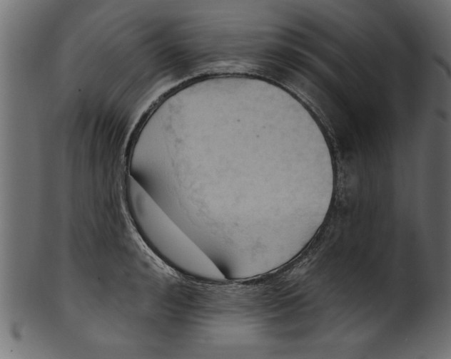 X0000101210992200807181414