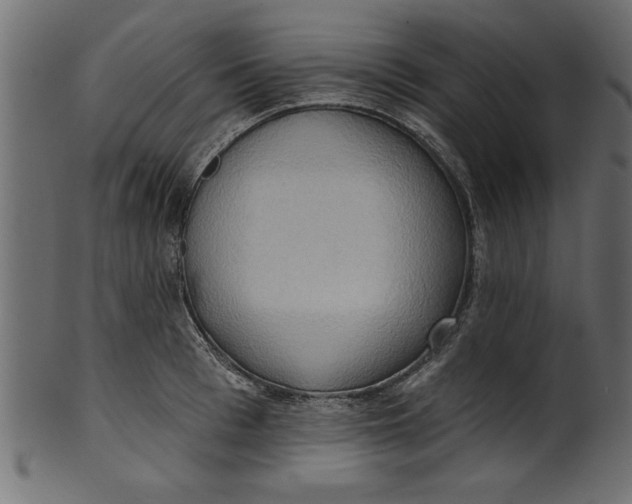 X0000101210993200807181414