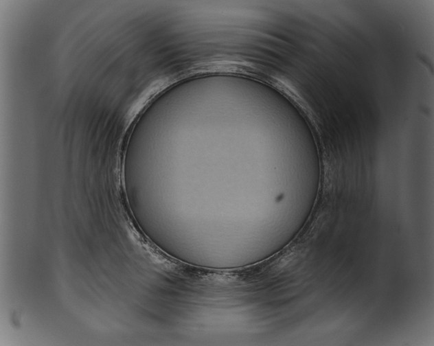 X0000101210994200807181414