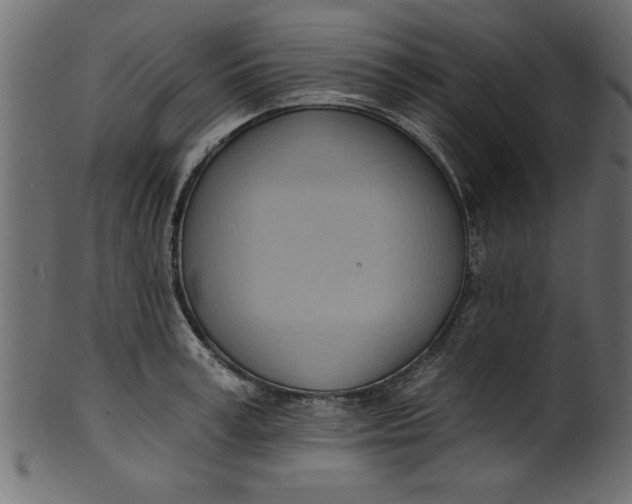 X0000101210995200807181414