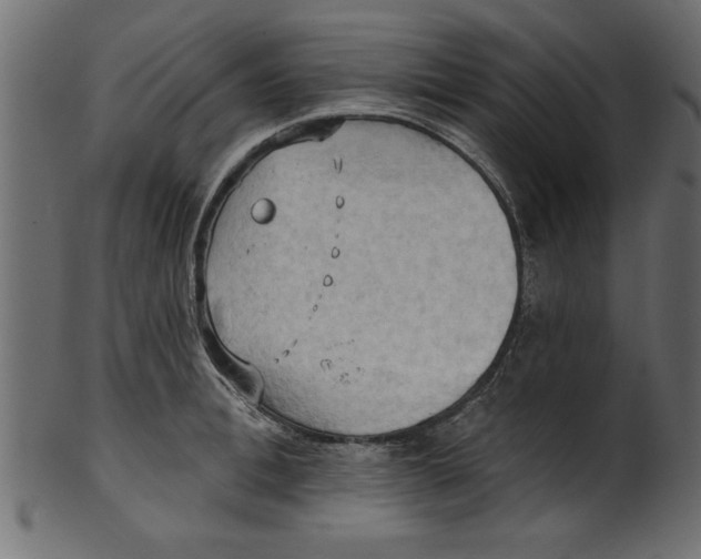 X0000101210996200807181414