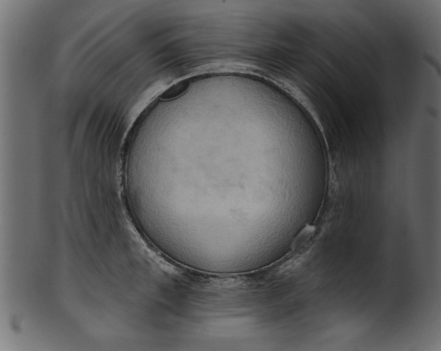 X0000101210997200807181414