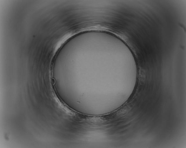 X0000101210998200807181414