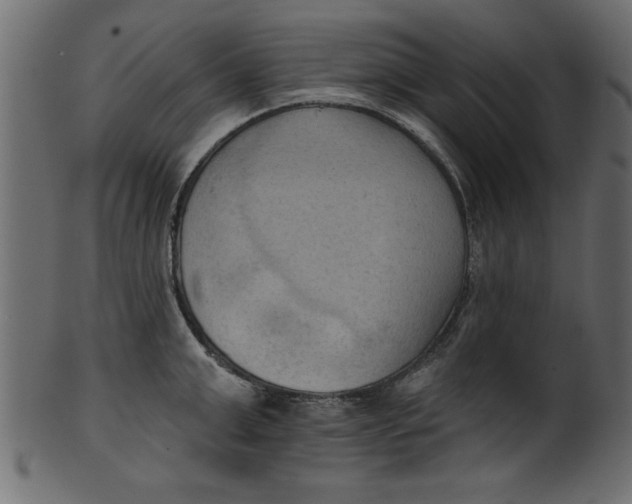 X0000101210999200807181414