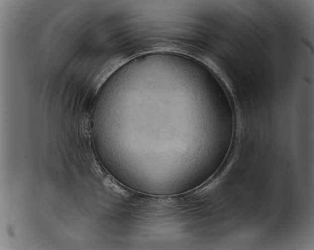 X0000101211001200807181414