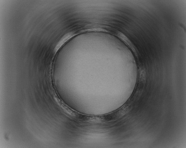 X0000101211002200807181414