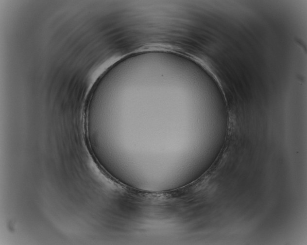 X0000101211003200807181414