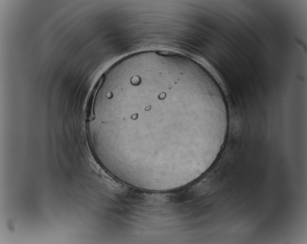 X0000101211004200807181414