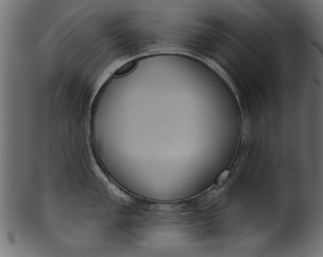 X0000101211005200807181414