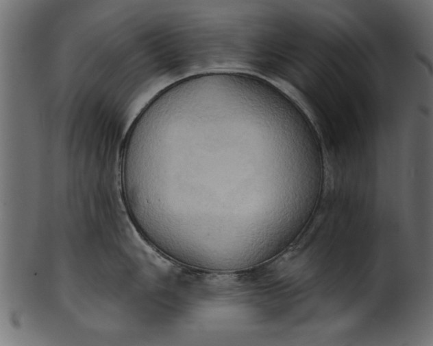 X0000101211006200807181414