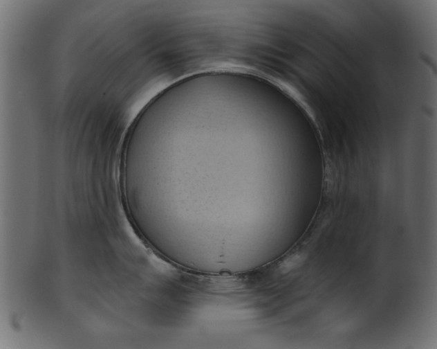 X0000101211007200807181414