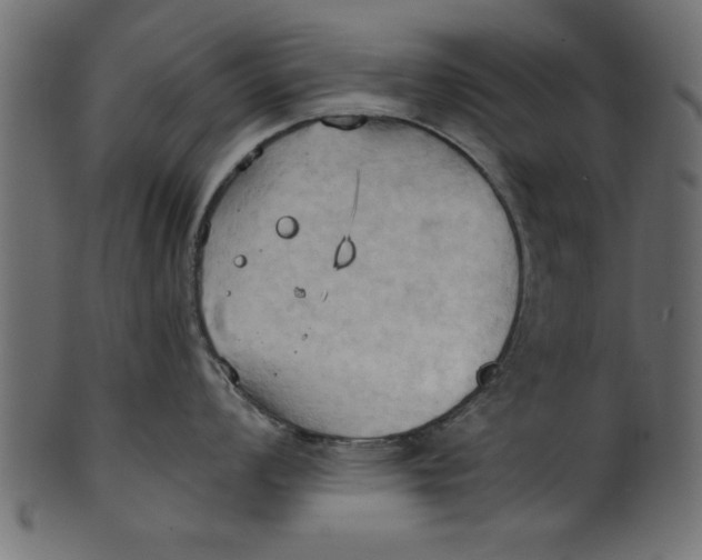 X0000101211008200807181414