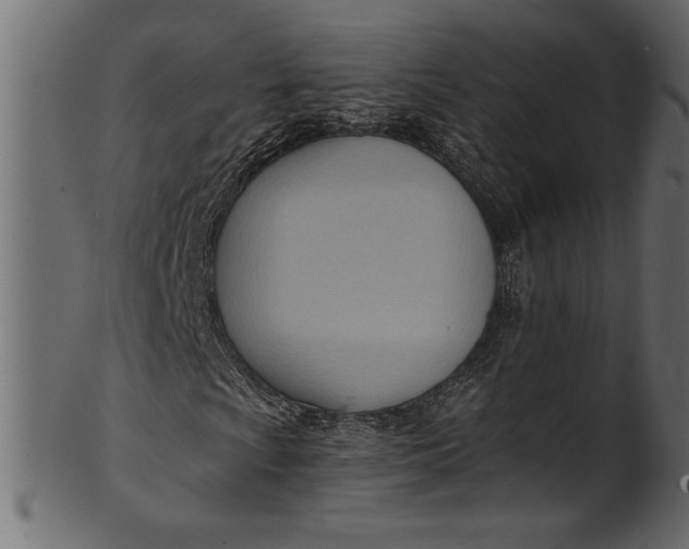 X0000101211009200807181413