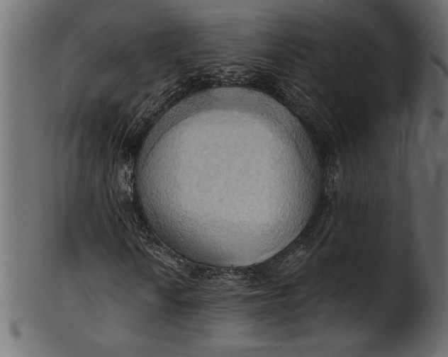 X0000101211010200807181413