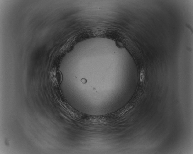 X0000101211011200807181413