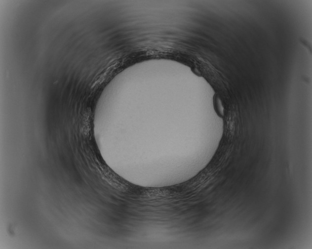 X0000101211012200807181413