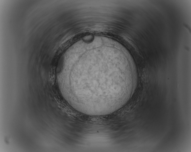 X0000101211015200807181413