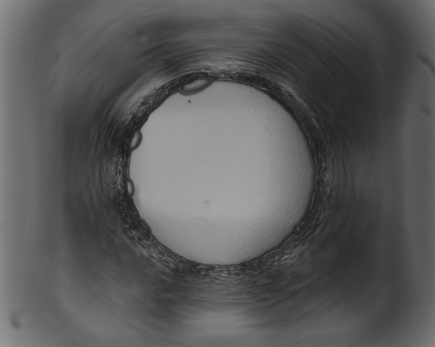 X0000101211016200807181413