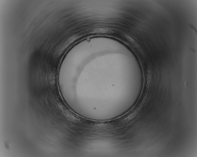 X0000101211017200807181413