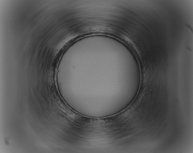 X0000101211019200807181413