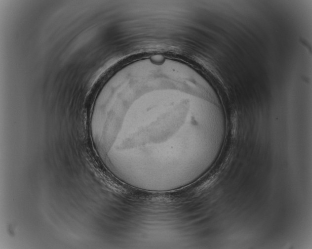 X0000101211021200807181413