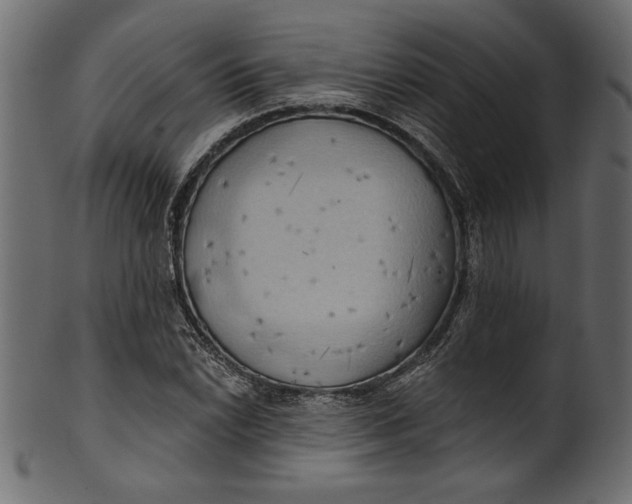 X0000101211022200807181413