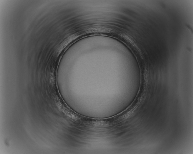 X0000101211025200807181413