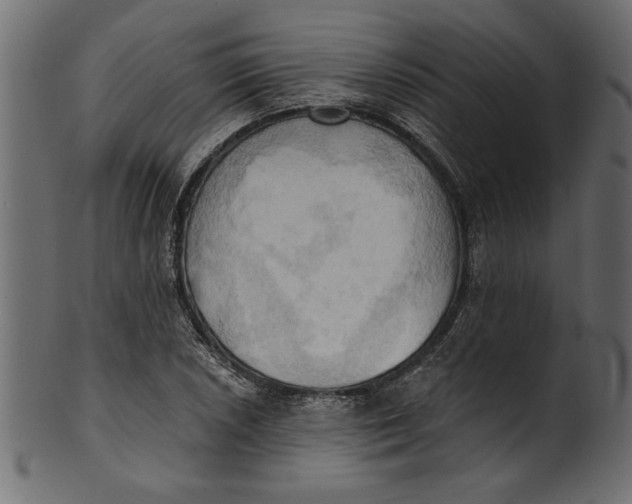 X0000101211026200807181413