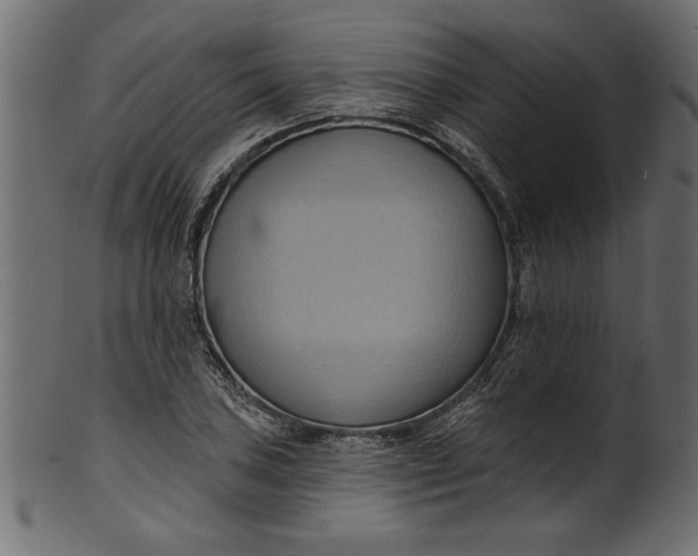 X0000101211027200807181413